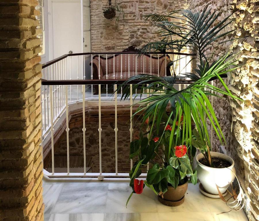 Apartamentos Rosario Centro 카디스 외부 사진